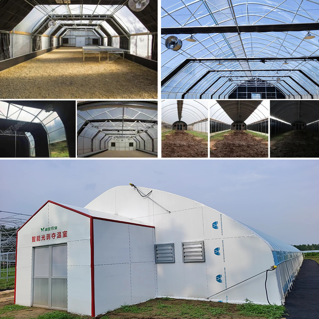 Agriculture Light Deprivation Greenhouse Blackout Greenhouses Tunnel Green House with Cooling Pad and Exhaust Fans for USA Hemp Growing
