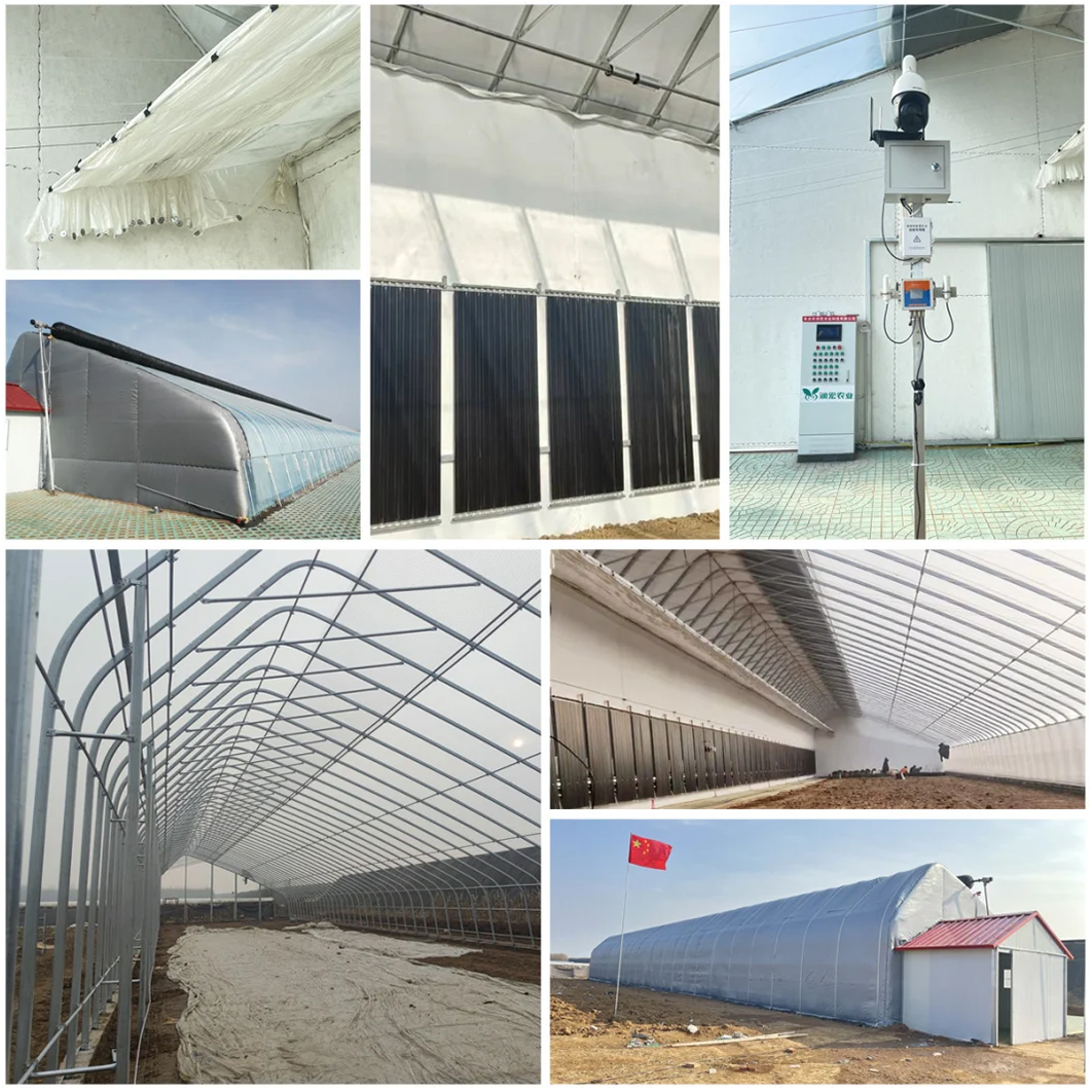 Solar Greenhouses with Automatic Heat Accumulation Solar Thermo-Set Laminate for Cold Area Vegetable/Flower/Crops Culture