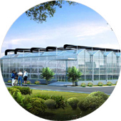 Designing Greenhouses