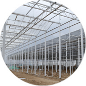 Greenhouse Construction