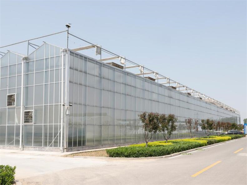 Greenhouse for Winter Gardenin