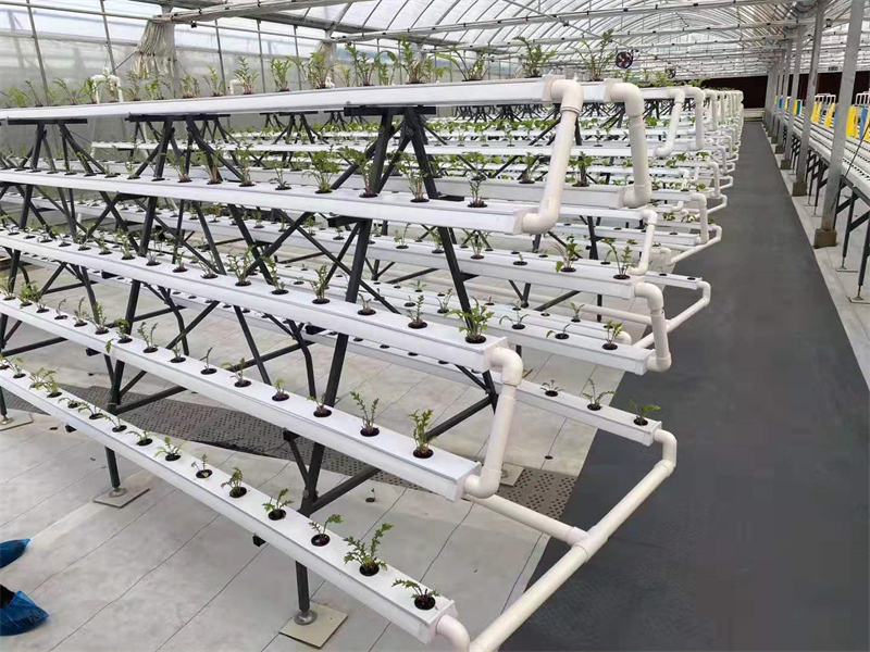 Intelligent Greenhouse