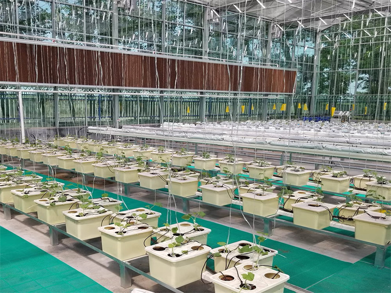 Greenhouse for Winter Gardenin
