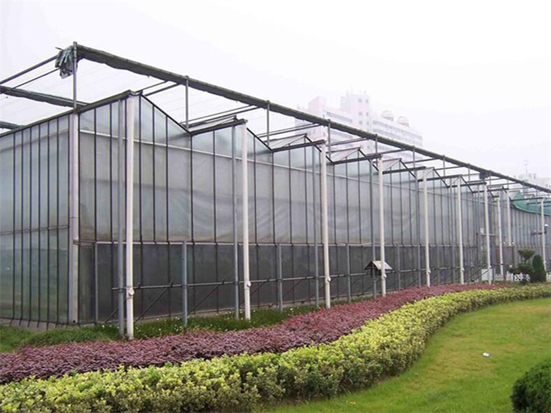 Simple Multi-span arch type Greenhouse