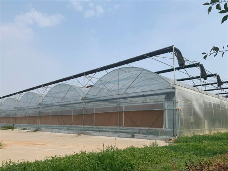 Intelligent Greenhouse