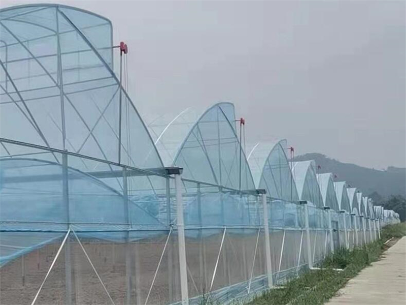 Greenhouse for Winter Gardenin