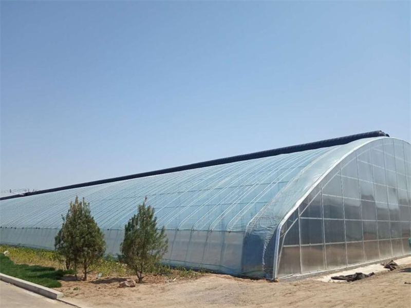 Simple Multi-span arch type Greenhouse