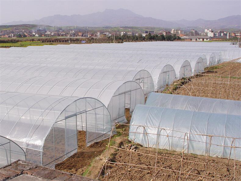 Intelligent Greenhouse