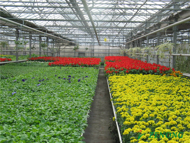 Film Greenhouses