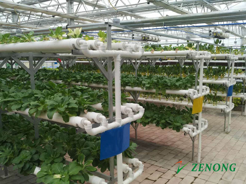 Glass Greenhouses